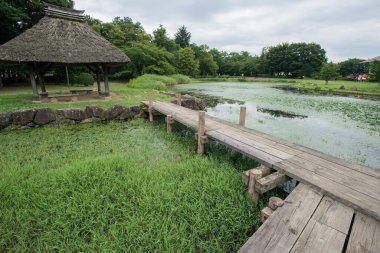 Japon geleneksel Japon bahçesi.