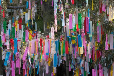 Renkli kurdelelerle süslenmiş ağaç dalları, tatil dekorasyonunun gündüz manzarası. 