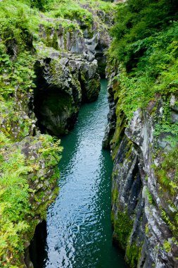Takachiho Vadisi, Gokase Nehri 'nin kıyısındaki kayalıklar boyunca uzanan dar bir uçurum. Vadi, yavaş oluşan volkanik bazalt sütunlardan oluşuyor. Takachiho, Nishiusuki, Miyazaki, Japonya.