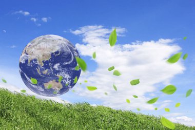 Yerküre küre ve yeşil yapraklar yaz otları boyunca gökyüzünde