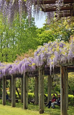 Olağanüstü sessiz bir Asya parkında bir yaz öğleden sonrası..