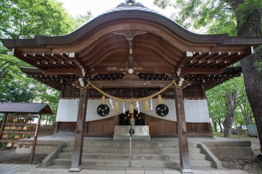 Eski bir Japon tapınağının güzel ele geçirilmesi