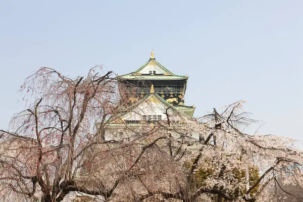 Plano Escénico Torre Del Castillo Osaka Famoso Hermoso Japón — Foto de Stock