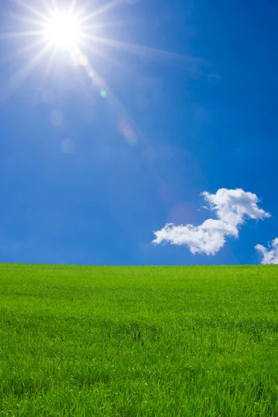 Plano Escénico Campo Verde Cielo Azul Con Nubes Fondo —  Fotos de Stock