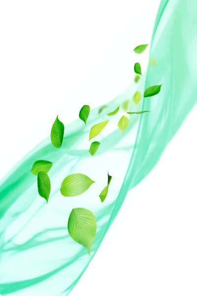 abstract nature background with green leaves 