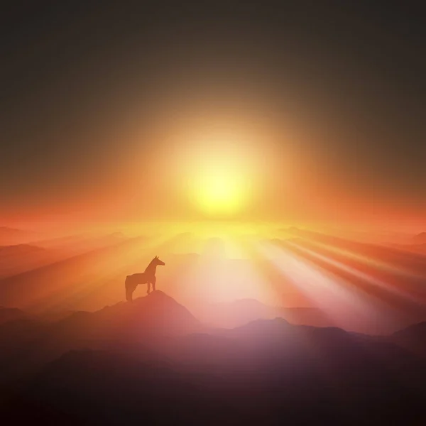 Black Silhouette Horse Sunset Background — Stock Photo, Image