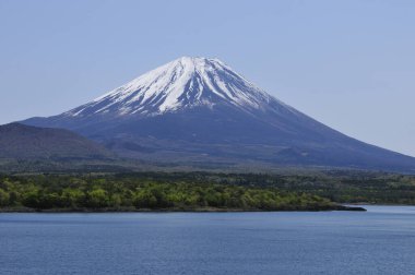 Yeşil ağaçlarla çevrili karlı dağın manzarası