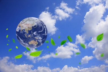 mavi gökyüzü arka planında yeşil ve yeşil yapraklar