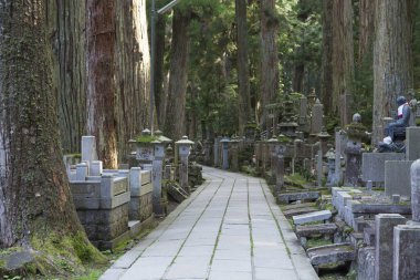  Japonya, Koyasan 'daki Okunoin antik Budist mezarlığı.