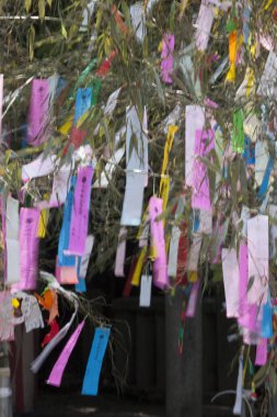 Renkli kurdelelerle süslenmiş ağaç dalları, tatil dekorasyonunun gündüz manzarası. 