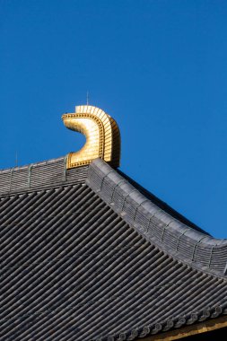 Toudaiji Tapınağının Büyük Buda Salonu