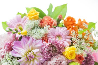 Güzel yaz çiçekleri, gündüz yakın çekim manzarası. 