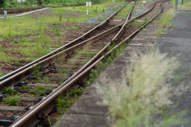 Ormanda tren rayları