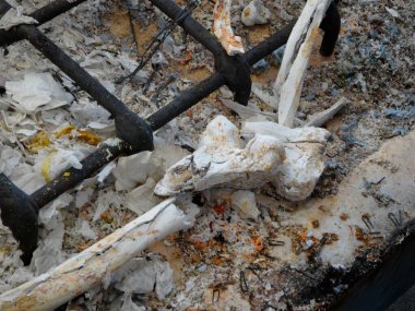 Kül ve metal parmaklıkların arasında yanmış hayvan kemikleri.