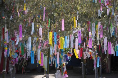 Renkli kurdelelerle süslenmiş ağaç dalları, tatil dekorasyonunun gündüz manzarası. 