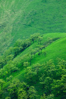 Dağlarda yeşil ağaçlar olan güzel manzaranın havadan görünüşü