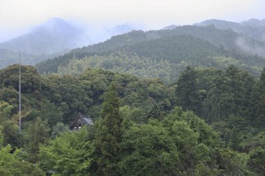 Yeşil dağların güzel manzarası