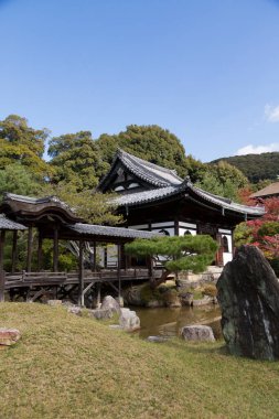 Eski bir Japon türbesinin nefes kesici sahnesi