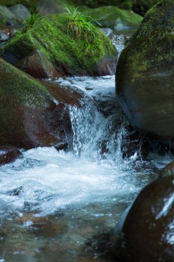 Kayaların arasından akan bir dere. 