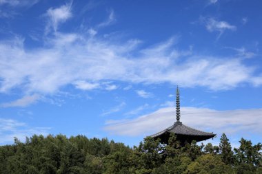 Ikaruga 'daki Hokki-ji Budist Tapınağı, Nara Bölgesi, Japonya