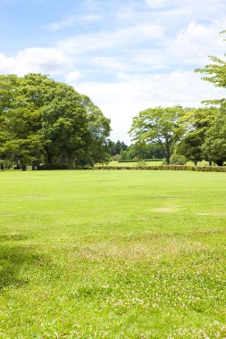 Farklı ağaç türlerine sahip kentsel yeşil park