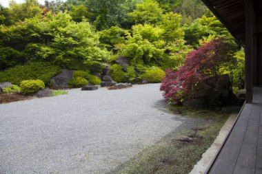 Yeşil Japon bahçesinde yol 