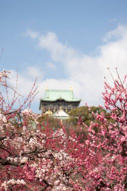 Japonya 'daki ünlü Osaka şatosu kulesinin manzaralı görüntüsü.