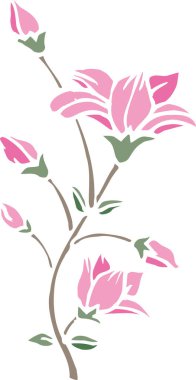 beyaz üzerine izole edilmiş pembe çiçekler 