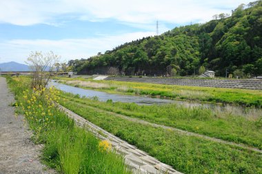Yazın Japon demiryolu manzarası