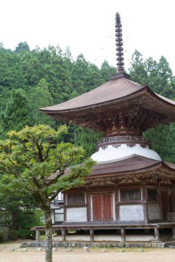 İki katlı Pagoda, Tahoto, Koya 'da Japon Ulusal Hazinesi, Wakayama Bölgesi, Japonya