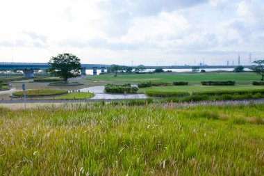 Green City Park 'taki nehir