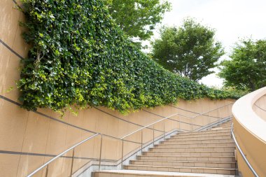 Bahçedeki merdivenler, güzel yeşil bitkiler, alçak açı.    