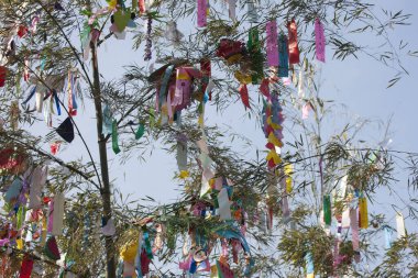 Renkli kurdelelerle süslenmiş ağaç dalları, tatil dekorasyonunun gündüz manzarası. 