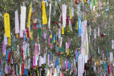 Renkli kurdelelerle süslenmiş ağaç dalları, tatil dekorasyonunun gündüz manzarası. 