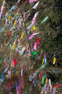 Renkli kurdelelerle süslenmiş ağaç dalları, tatil dekorasyonunun gündüz manzarası. 