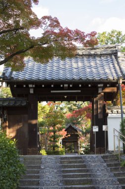 Eski bir Japon tapınağının güzel ele geçirilmesi