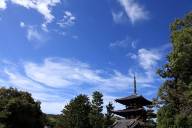 Geleneksel bir Japon türbesinin sakin fotoğrafı