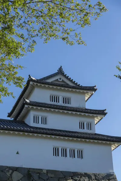 Historic Shrine Located Top Mountain Hikone Area Japan Shiga Ken — Stock Photo, Image