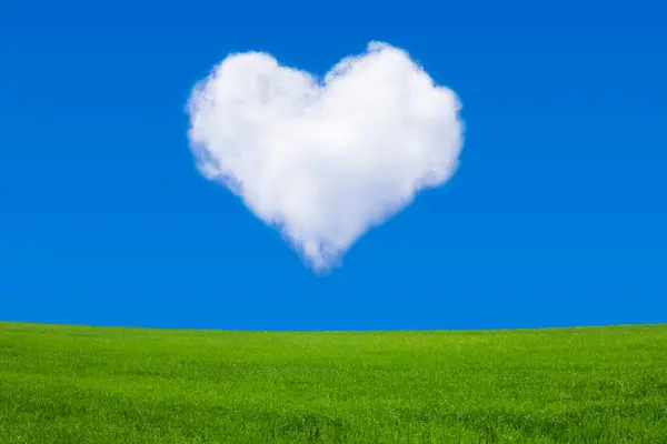Plano Escénico Campo Verde Cielo Azul Con Nube Forma Corazón —  Fotos de Stock