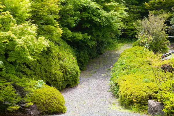 Path Green Japanese Garden — Stock Photo, Image
