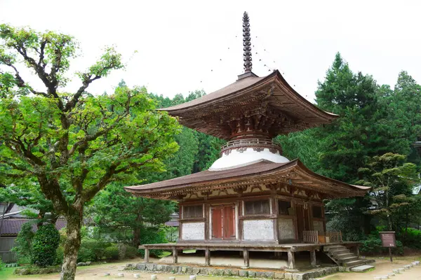 Katlı Pagoda Tahoto Koya Japon Ulusal Hazinesi Wakayama Bölgesi Japonya — Stok fotoğraf