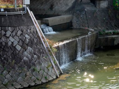 Şehir parkındaki şelalenin güzel manzarası