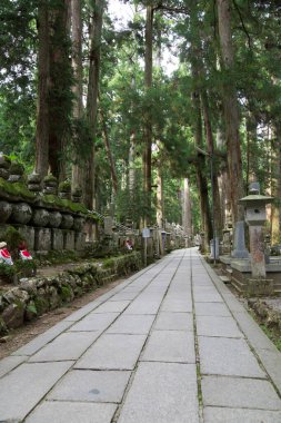  Japonya, Koyasan 'daki Okunoin antik Budist mezarlığı.