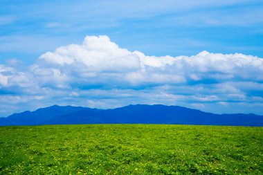 Mavi gökyüzü ve bulutlu yeşil tarlaların güzel manzarası
