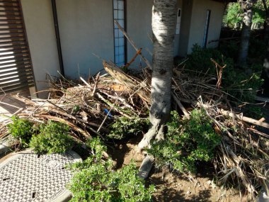 Geleneksel evin dışındaki ağacın etrafındaki kuru dallar.