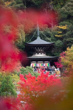 Resimli bir Japon türbesinin sanatsal çekimi.