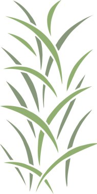 yeşil çimen soyut arkaplan, renk çizimi