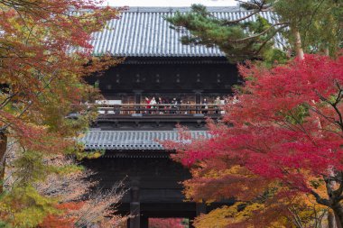 Eski bir Japon türbesinin nefes kesici sahnesi
