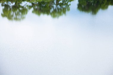 yeşil ağaçlar gölde yansıyor 