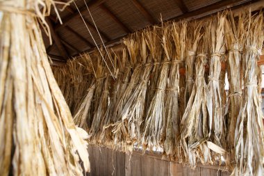 Asya köyündeki evde asılı kuru bambu yapraklarını kapatın. 